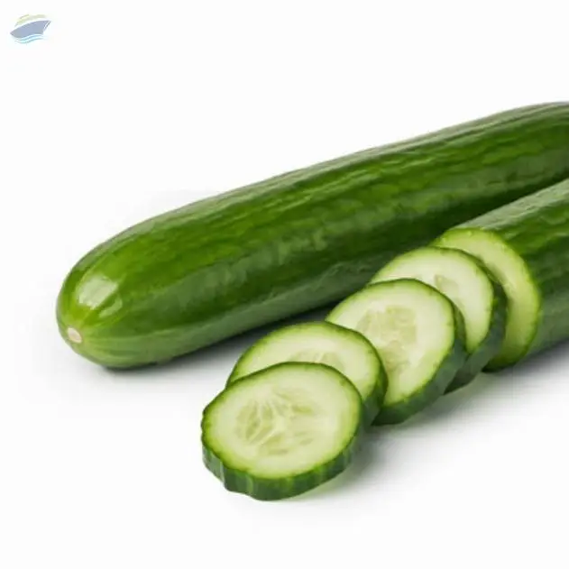 Cucumber