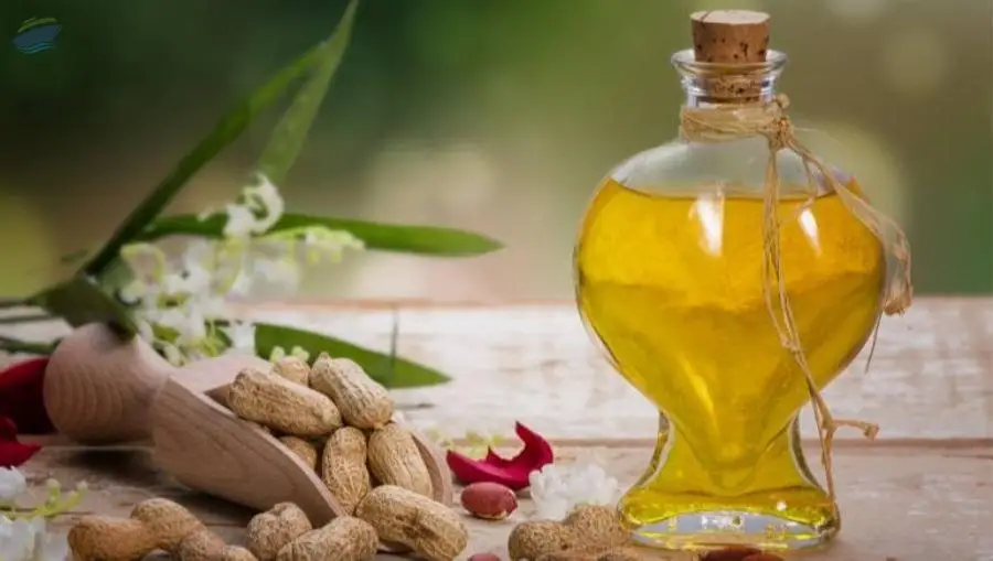 Jamal Agri Farms (JAF) Peanut/Groundnut Oil
