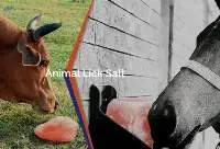 Jamal Industries Animal Lick Salt
