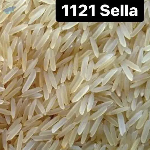 1121 Sella
