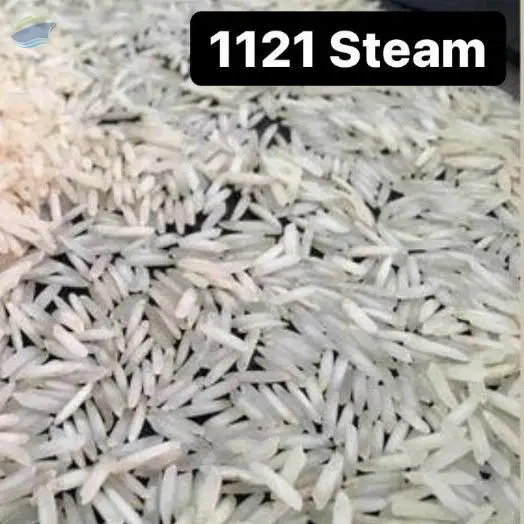 1121 Steam