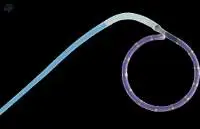 Reprocessed EP Catheter Cable Protected
