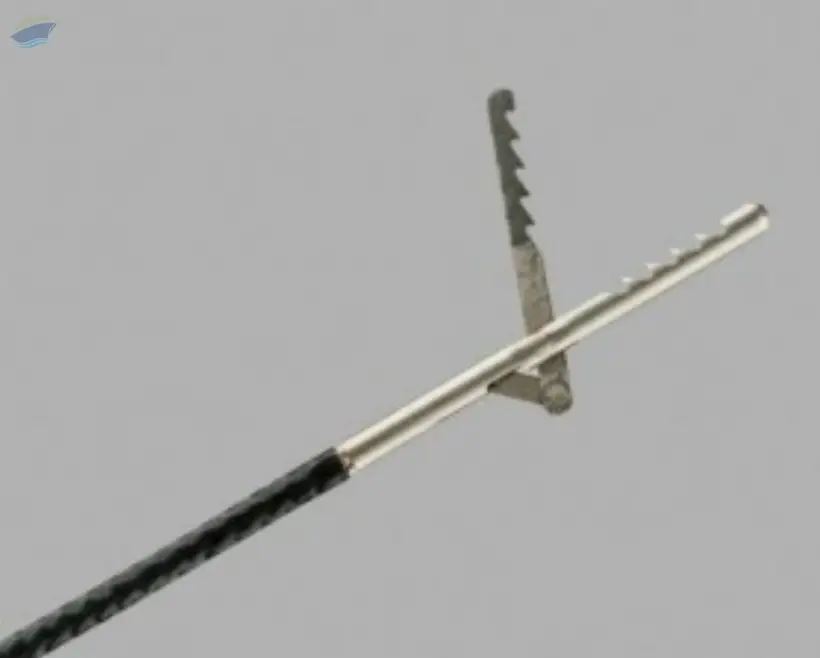 Retrieval Forceps