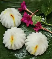 Frozen Ukdiche Modak