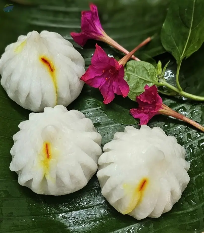 Frozen Ukdiche Modak
