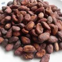 Premium Cocoa Beans