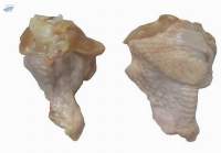 Frozen Chicken Wing Drumstick