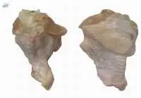 Frozen Chicken Wing Drumstick