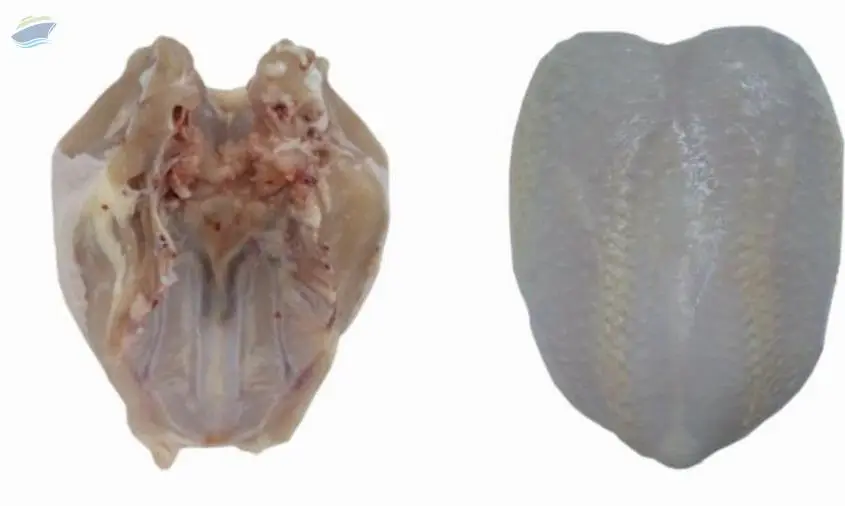 Frozen Whole Chicken Breast, Bone In, Skin On