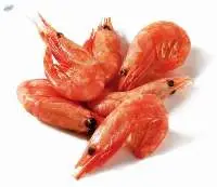 Frozen Red Shrimp