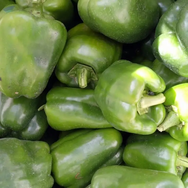 Bell Pepper