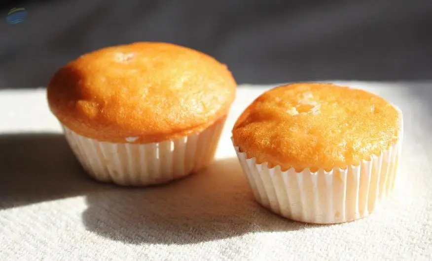 Muffins