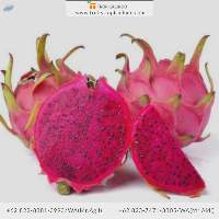 Red Dragon Fruit