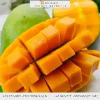 Harum Manis Mango
