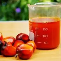 Palm Acid Oil