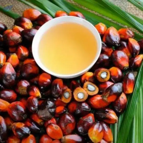 Palm Kernel Oil