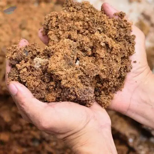 Palm Kernel Meal & Palm Kernel Cake