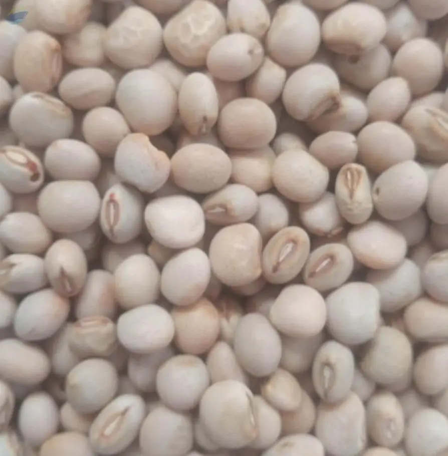Pigeon Peas White