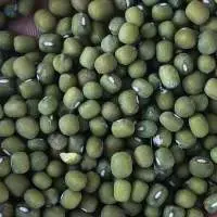Green Gram