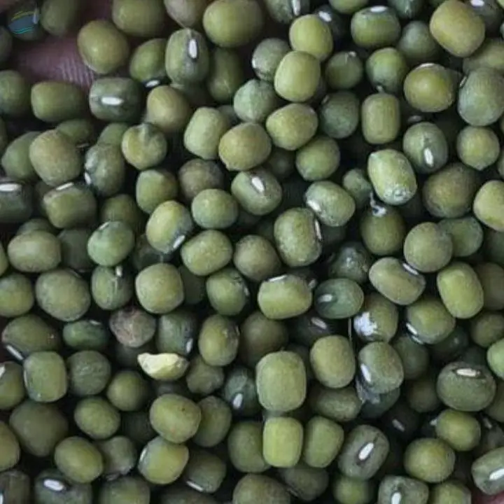 Green Gram