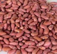 Kidney Beans