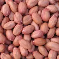 Peanuts