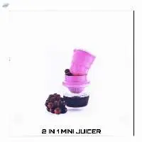 2 In 1 Mini Juicer