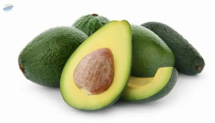 Hass Avocado 500g