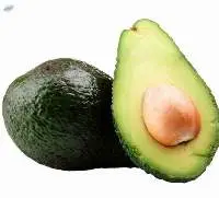 Fresh Avocado For Sale