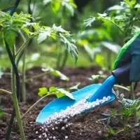 Fertilizers
