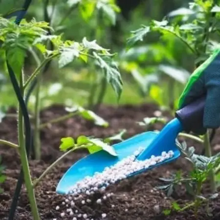 Fertilizers
