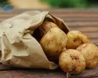 Potato