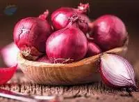 Onion