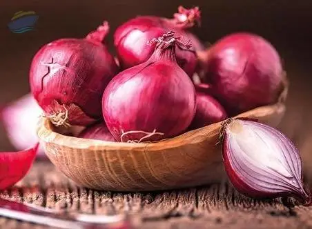 Onion