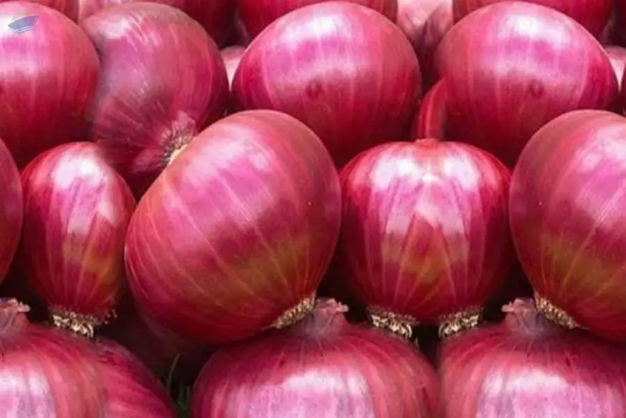 Red Onion