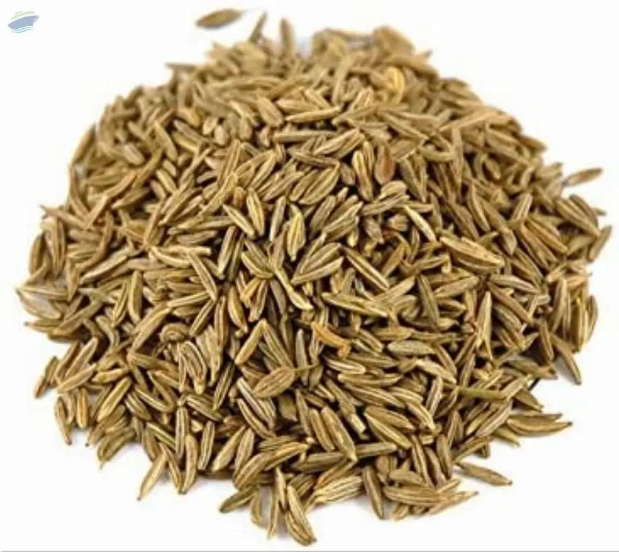 Cumin Seed 