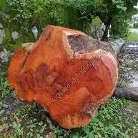 Jackfruit Wood