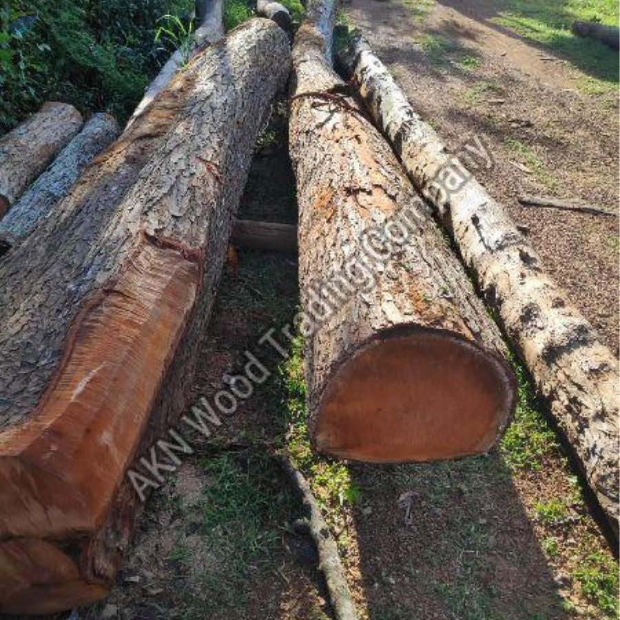 Mahogany Wood by AKN Wood Trading Company. Supplier from India. Product