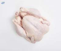 Processed Chicken