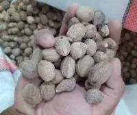 Nutmeg