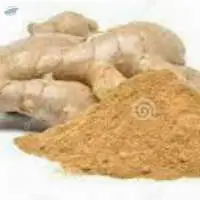 Dried Ginger