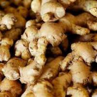 Ginger Root