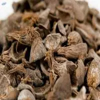 Palm Kernel Shell