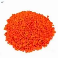 Red Lentils, Green Lentils, Yellow Lentils