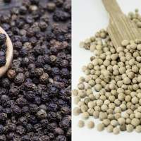 Black/White Pepper 550gl/ 500gl Black Pepper