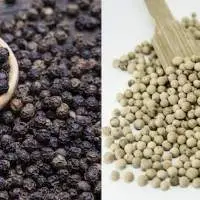 Black/White Pepper 550gl/ 500gl Black Pepper