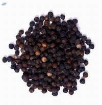 Best Quality Dried White Pepper / Black Pepper.