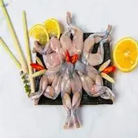 Frozen Whole Cleaned Frog 100% Natural.