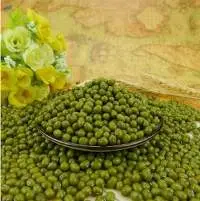 2021 Wholesale Green Mung Beans