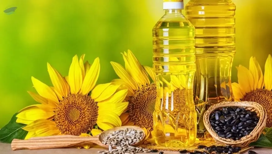Refined Edible Sunflower Oil / Vegetable Oil